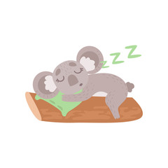 Cute Koala Bear Sleeping on Tree Branch, Funny Grey Animal Character Vector Illustration