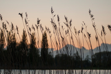 sunset lake landscape