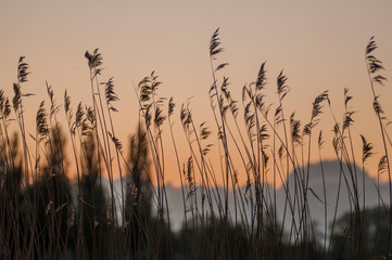 sunset lake landscape