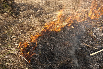 Burning dry grass