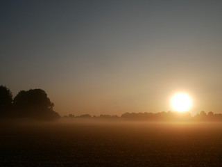 Sunset over foggy field