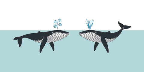 Whale logo. Isolated whale on white background