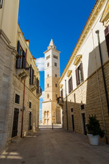 Fototapeta na wymiar Cathedral tower in the town of Trani, region Puglia, Italy
