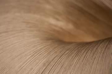 paper lamp, light, shadow, pattern