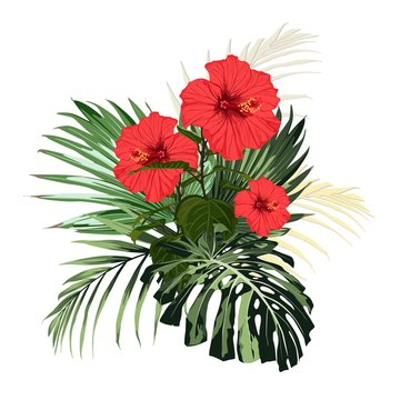 red hibiscus flowers tropical arrangement clip art preview