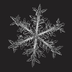 Snowflake isolated on black background. Vector illustration based on macro photo of real snow crystal: elegant stellar dendrite with hexagonal symmetry, complex ornate shape and intricate details.