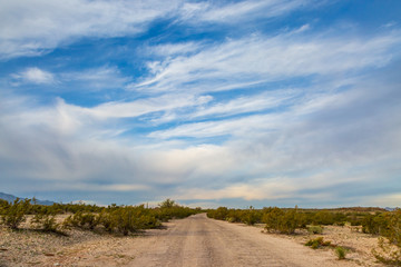 Fototapeta na wymiar A road through the Sonoran Desert in Arizona