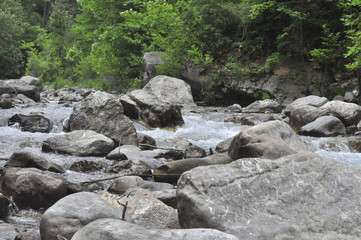 forest, tree, nature, green, trees, landscape, wood, water, lake, park, woods, sun, fog, road, summer, natural, river, grass, wilderness, environment, leaves, mist, foliage, path, outdoors