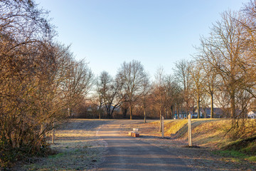 Beautiful spring landscape at the morning park in Frankenthal