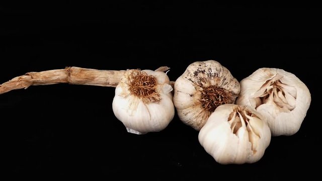 close-up of garlic on black ground,