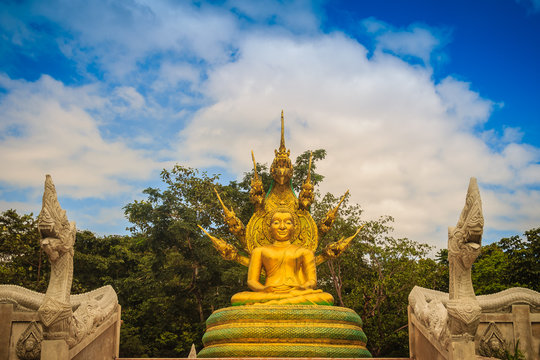 Beautiful golden Buddha statue with seven Phaya Naga heads under white clouds and blue sky background. Outdoor golden seated Buddha image protected by 7 heads Naga spreads cover on top in cloudy days.