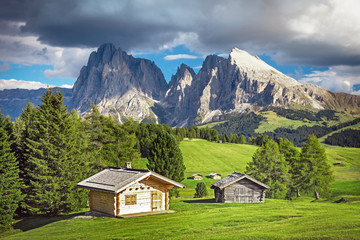 Fototapeta na wymiar Alpe di Siusi - Seiser Alm with Sassolungo - Langkofel mountain group in background at sunset. Flowers and wooden chalets in Dolomites, Trentino Alto Adige, South Tyrol, Italy, Europe
