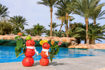 Schneemann und Schneefrau aus Mandarinen am Pool mit Gewürzen und Blumen dekoriert