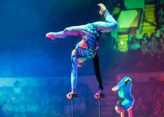 Fototapeta na wymiar air circus performances in the circus