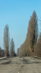 Morning country road in early spring with a haze on the horizon