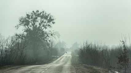 Obraz na płótnie Canvas Morning country road in early spring with a haze on the horizon