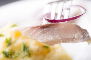 piece of herring on a fork, close-up, herring against a served table