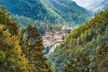 Mountain forest in Bhutan, the Himalayas in the spring, on the way to the mountain monastery near Thimphu. View of Thimp[hy valley from mountain path.