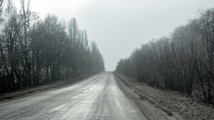 Fototapeta premium Morning country road in early spring with a haze on the horizon