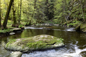 Waldnaabtal, Flusslauf durch den Wald