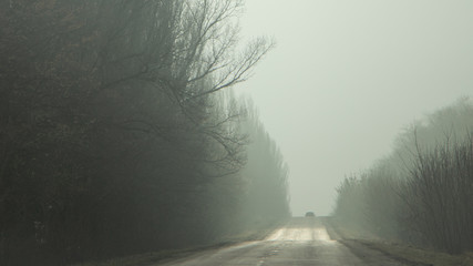 Morning country road in early spring with a haze on the horizon