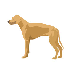 Dog, Rhodesian Ridgeback, isolated geometric vector illustration