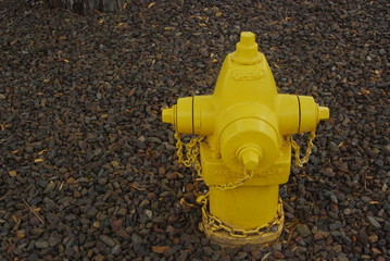 Yellow Fire Hydrant, Right Justified