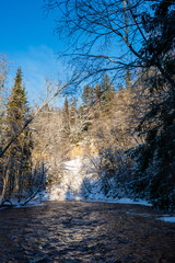 frozen forest river in winter