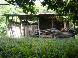 Vieja cabaña de palos y calamina