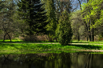 Spring flood in a beautiful green park. Spring garden with a lake and green meadows. Deciduous forest on a sunny day.