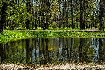 Fototapeta na wymiar Spring flood in a beautiful green park. Spring garden with a lake and green meadows. Deciduous forest on a sunny day.