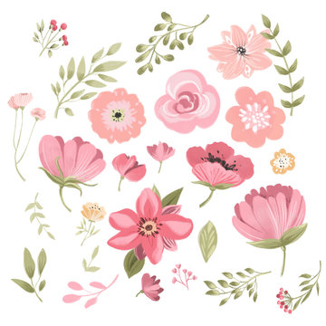 Cute pink watercolor individual flowers, floral elements