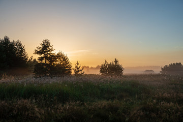 Fototapeta na wymiar colorful sunrise sunset in misty summer meadow