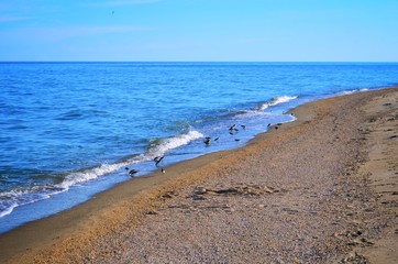 Beach.
