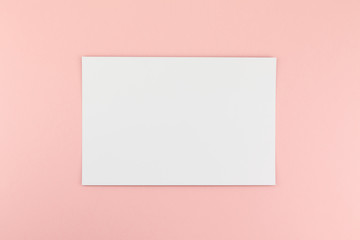 Blank A4 paper sheet mockup on pink background