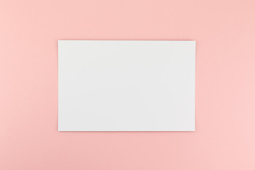 Blank A4 paper sheet mockup on pink background
