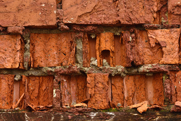 old brick ruined wall