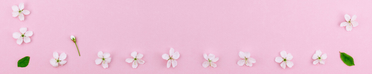 Fototapeta na wymiar White spring cherry tree blooming flowers pattern