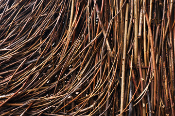 texture of dry curved branches