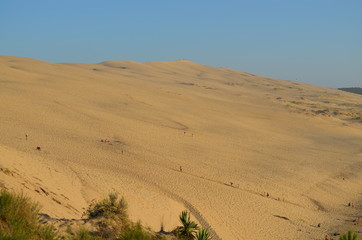 Dune du Pyla, Gironde, Nouvelle-Aquitaine, France