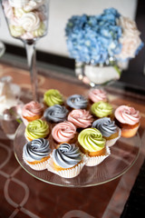 Multicolored cupcakes in candy bar