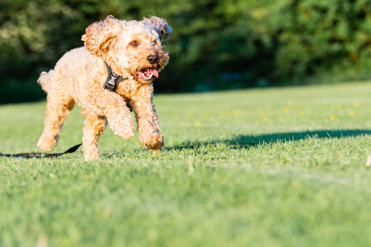 Running