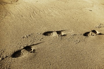 Traces on sand.
