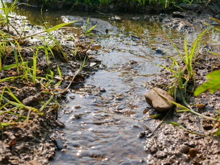 Selective focus of fresh water freely flows, from a higher to a lower platform, into a paddy field...