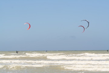Beach life on the coast of