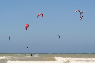 Beach life on the coast of