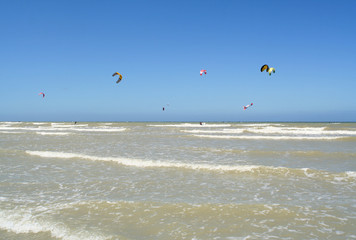 Beach life on the coast of