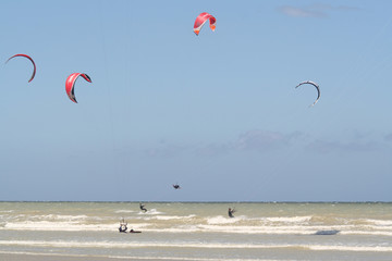 Beach life on the coast of