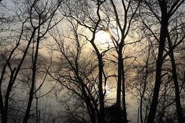 RIVIERE LA SAONE AU NIVEAU DE CRECHES SUR SAONE - SAONE ET LOIRE - BOURGOGNE