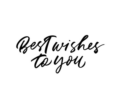 Best Wishes To You Phrase. Modern Vector Brush Calligraphy.